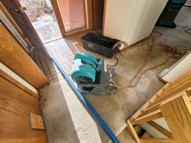 Best Professional water damage repair  in Red Lion, PA