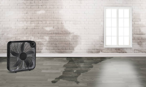 Professional Water damage restoration in Red Lion, PA