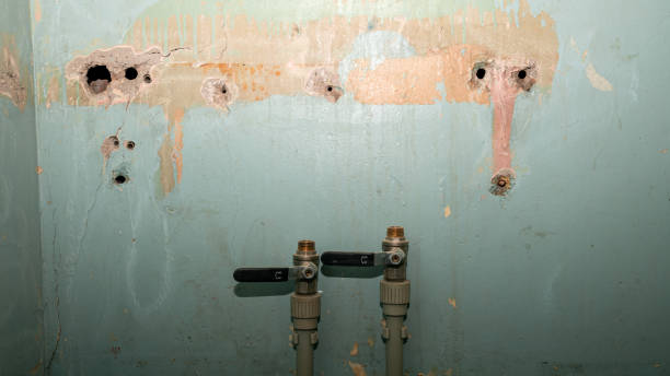 Best Flood restoration services  in Red Lion, PA