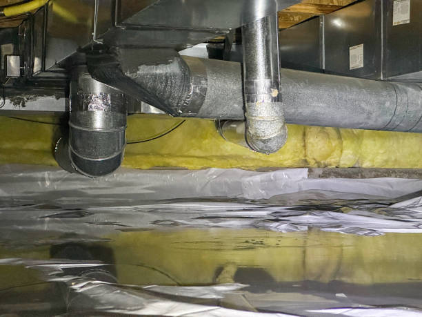 Best Local water damage restoration  in Red Lion, PA