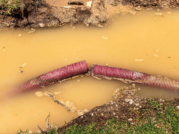 Best Water damage restoration near me  in Red Lion, PA