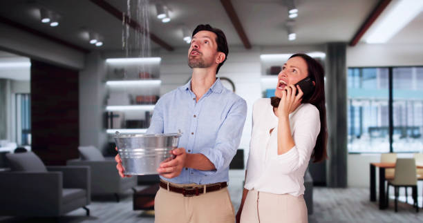 Best Carpet water damage restoration  in Red Lion, PA